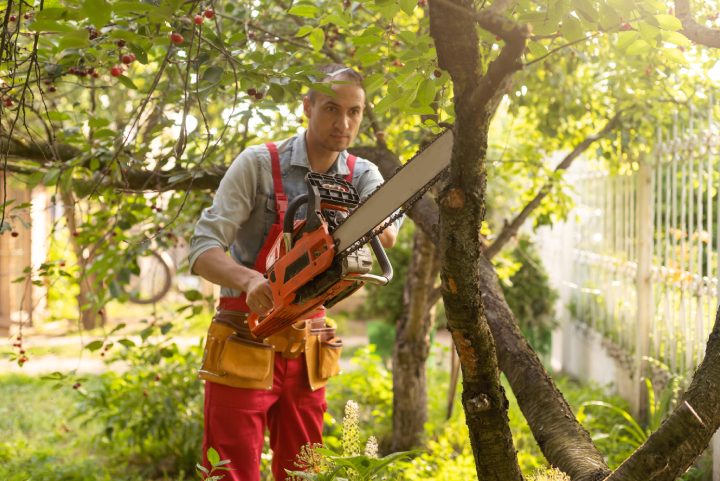 handsome young man gardener trimming hedgerow in a garden park outdoor.